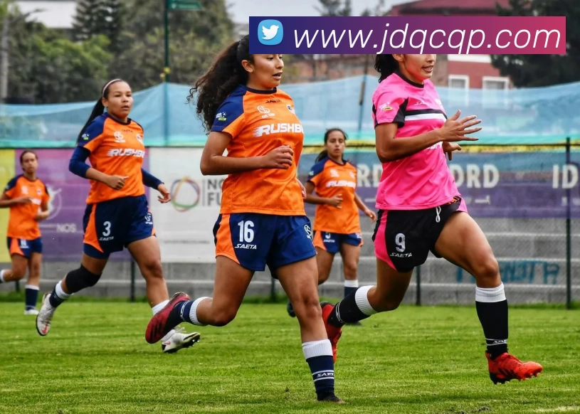 九游官网服务体系